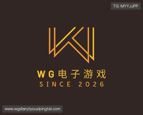 发现wg电子游戏